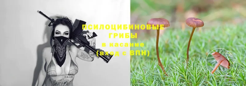 Псилоцибиновые грибы Magic Shrooms  Уржум 